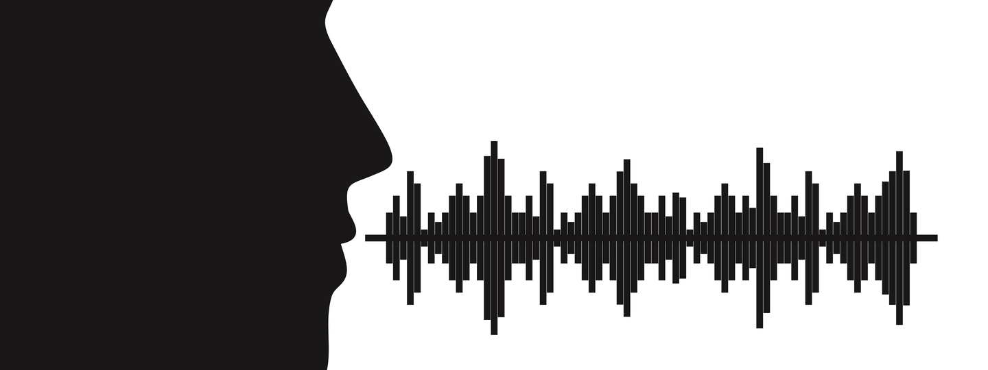 Mastering the Art of Voicing Nationwide Interpreter Resource